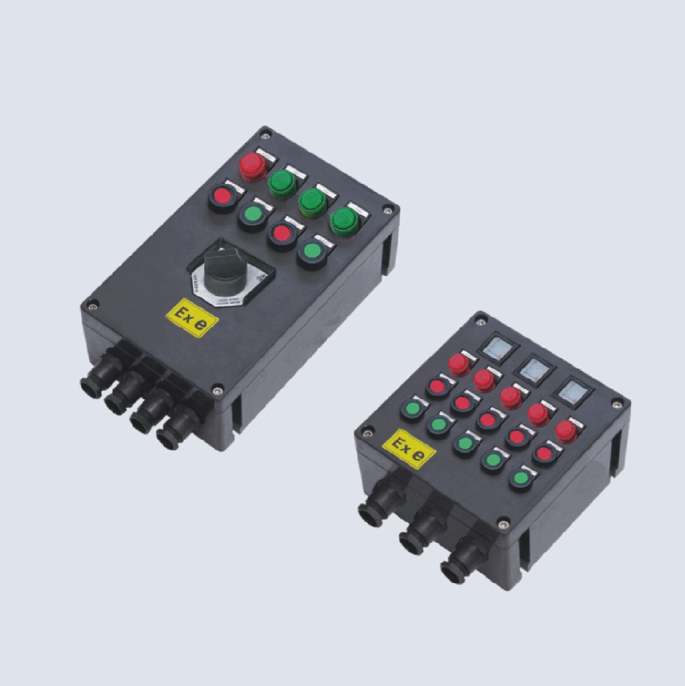 BXK8050-系列防爆防腐控制箱(IIC、 ExtD)