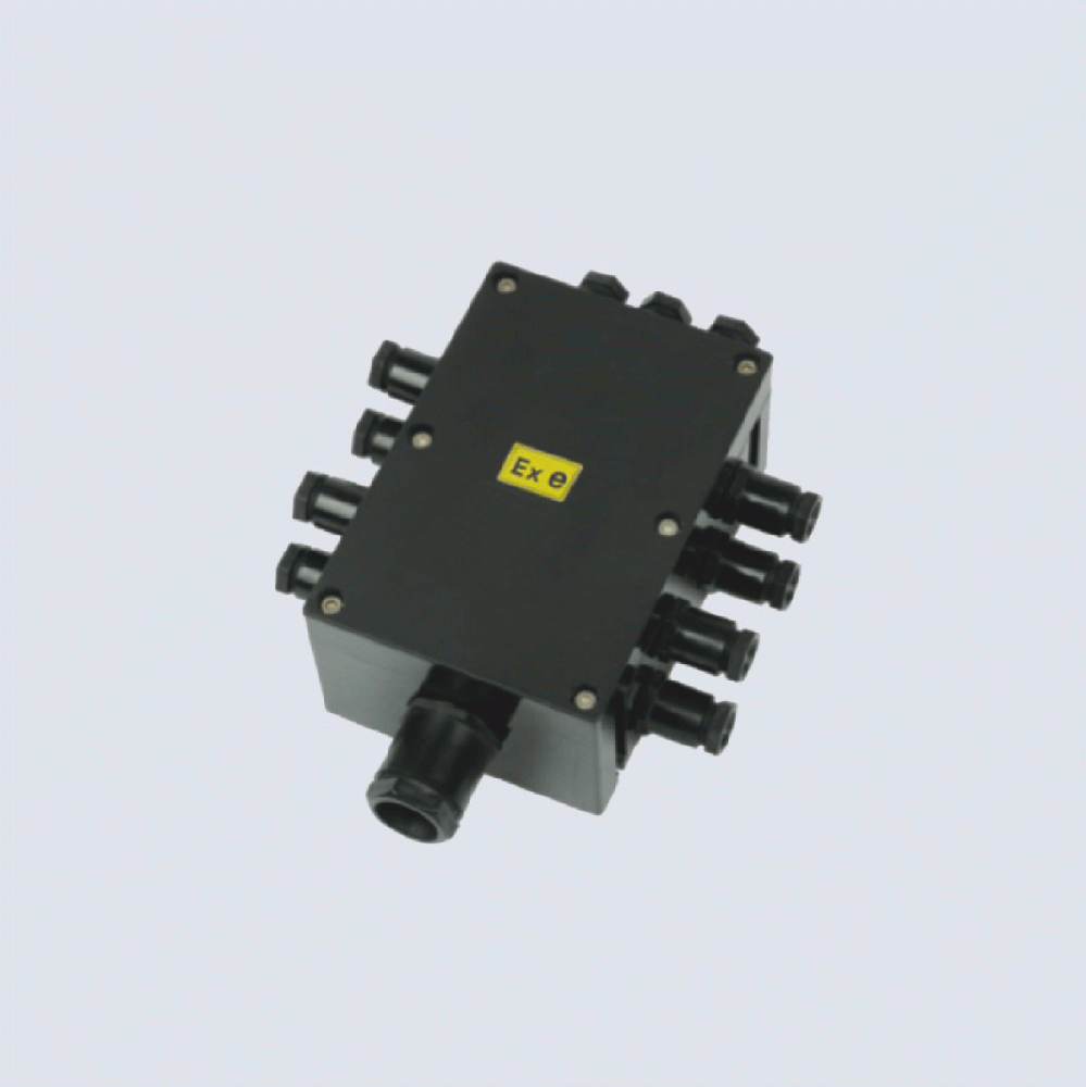 BJX8050系列防爆防腐接線箱(II C、 ExtD)